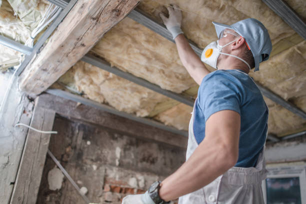 Best Insulation Maintenance and Repair in Riverse, ID